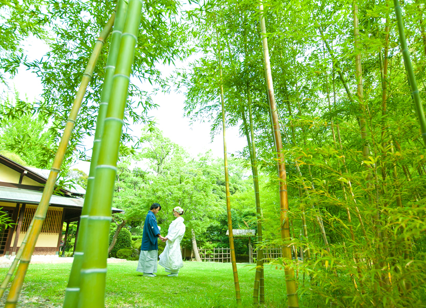 中村公園での和装ロケーションフォト｜竹林での前撮り