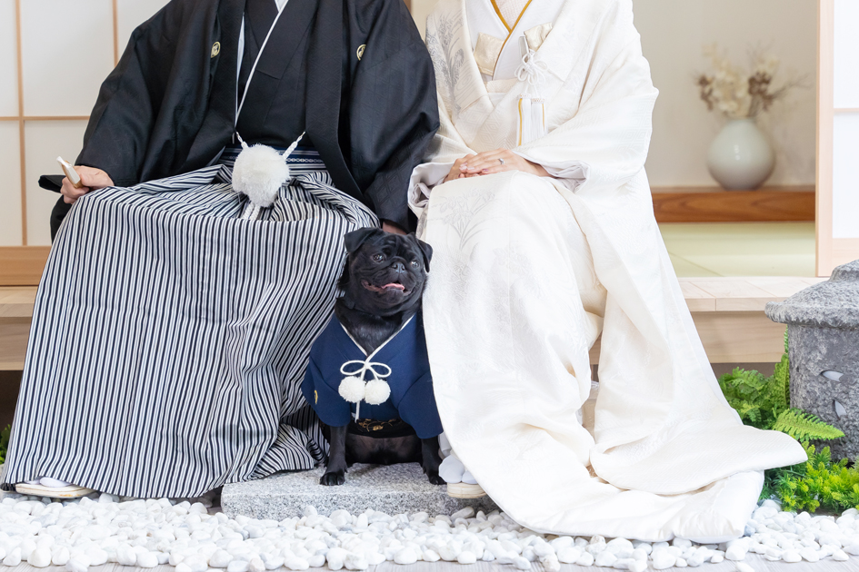 愛犬とご両親と和装スタジオ｜白無垢・色打掛