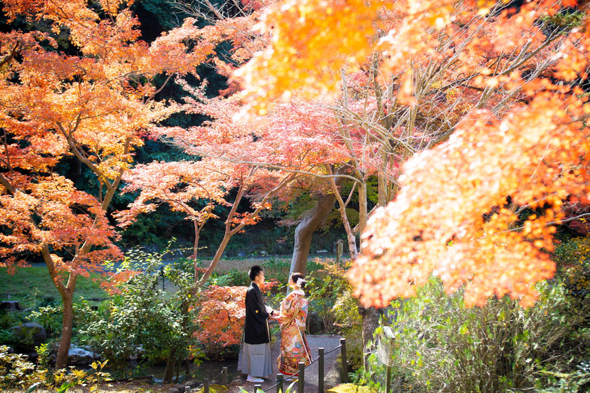 東山植物園での和装ロケーションフォト｜もみじ越し